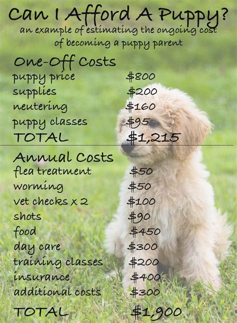  When you consider the cost of your new puppy, keep in mind that cost also includes the cost of caring for the mother and father, as well as the cost of caring for the puppy